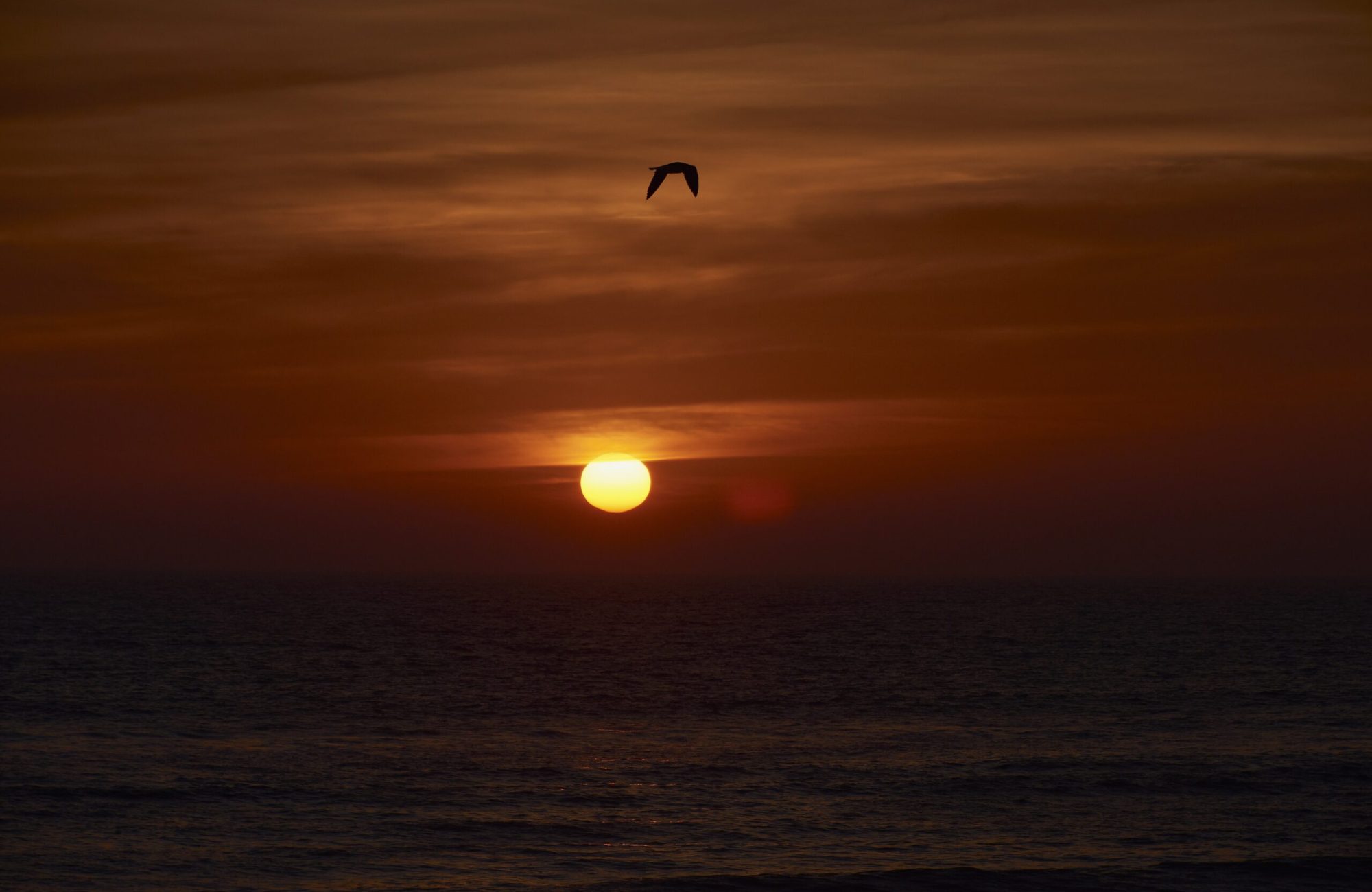 sunset sunset